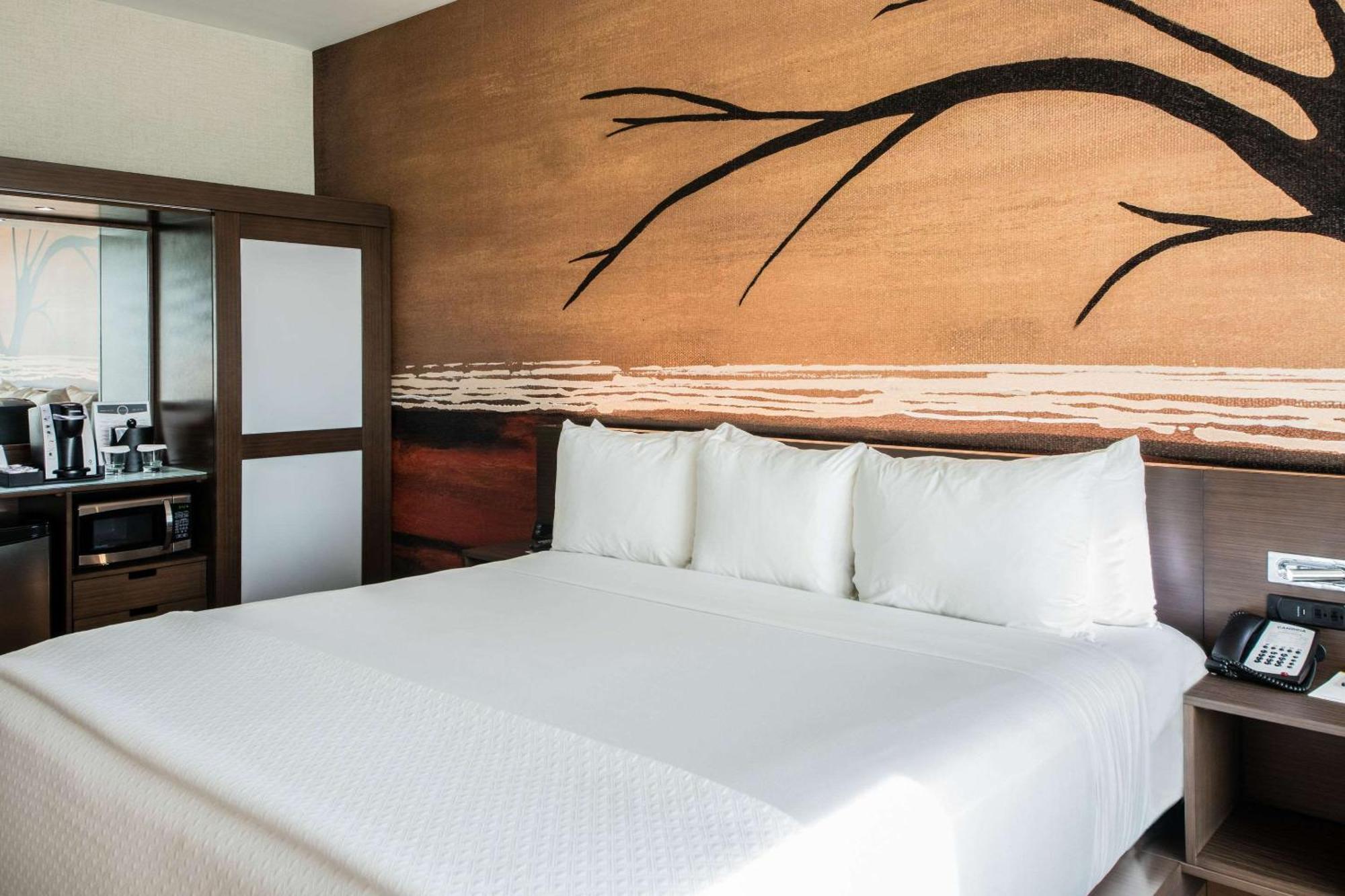 Cambria Hotel Mcallen Convention Center Bagian luar foto